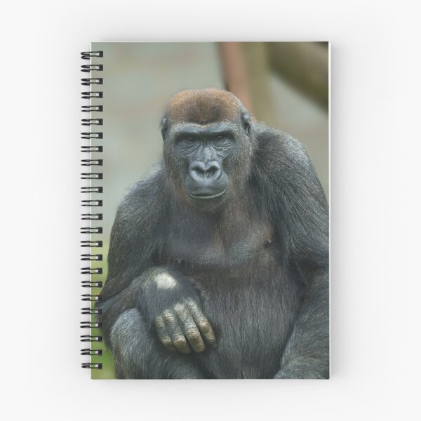 Item preview, Gorilla Lope Pose designed and sold by rawshutterbug.