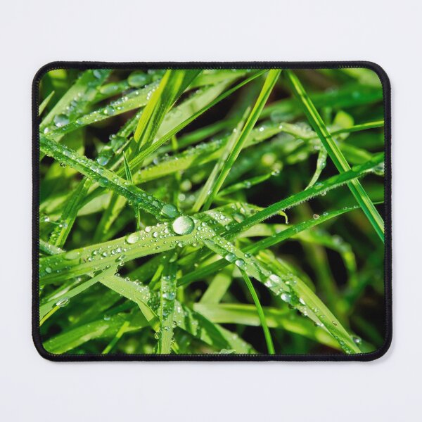Item preview, Dewy Blades Of Grass designed and sold by Dorset Girl.
