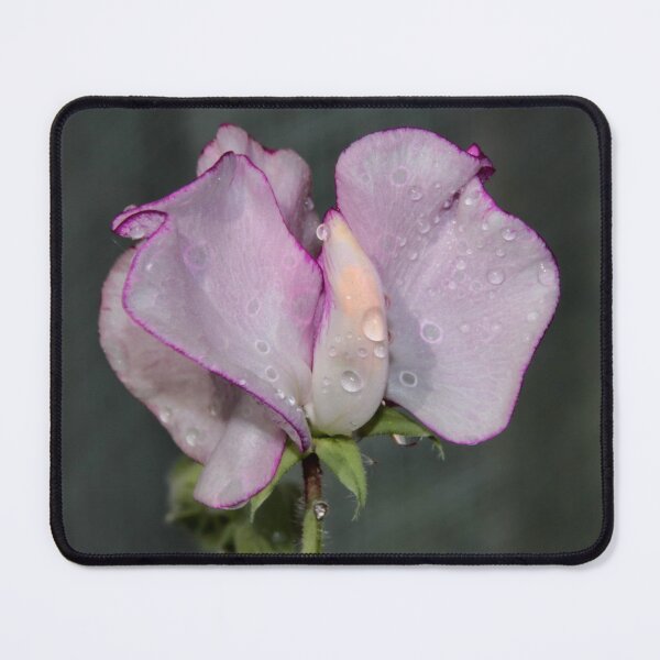 Item preview, Sweetpea designed and sold by AnnDixon.