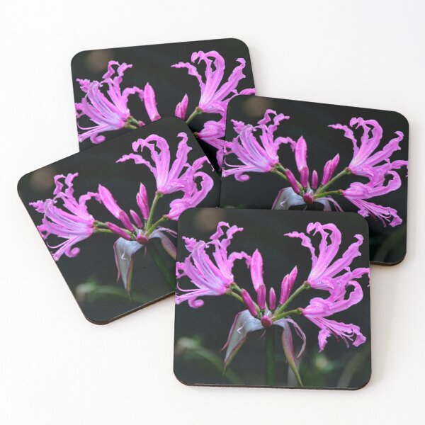 Item preview, Lirio designed and sold by AnnDixon.