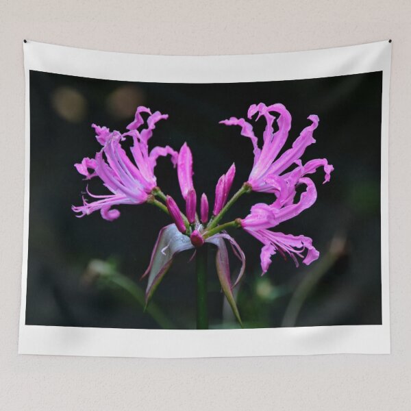 Item preview, Lirio designed and sold by AnnDixon.