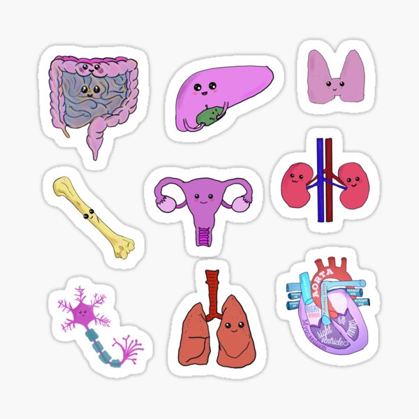 Item preview, Cute organs designed and sold by Tamm-art.