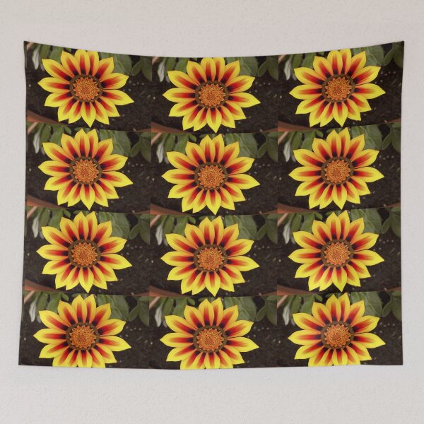 Item preview, Gazania Flower designed and sold by 104paul.