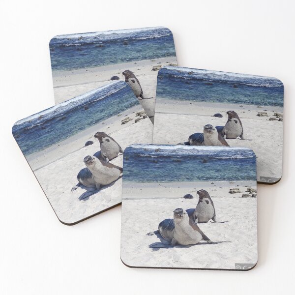 Item preview, Galápagos Islands Sea Lions designed and sold by Carol Bock.