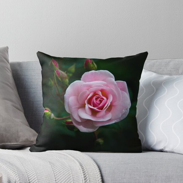 Item preview, Love Is A Rose IV designed and sold by alabca.