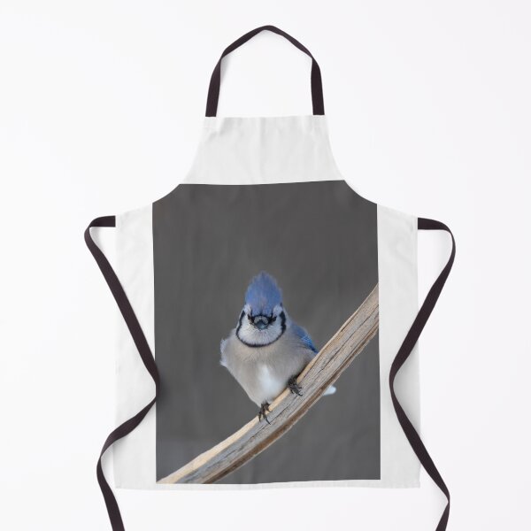 Item preview, Blue Jay - Algonquin Park designed and sold by James Cumming.