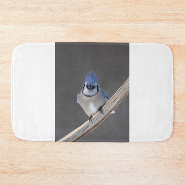 Item preview, Blue Jay - Algonquin Park designed and sold by James Cumming.