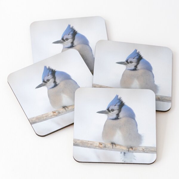 Item preview, Blue Jay - Algonquin Park designed and sold by James Cumming.