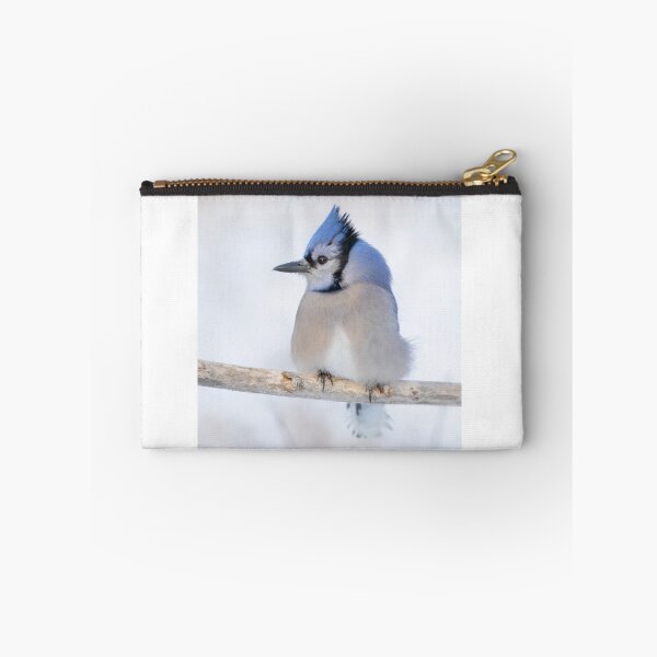 Item preview, Blue Jay - Algonquin Park designed and sold by James Cumming.