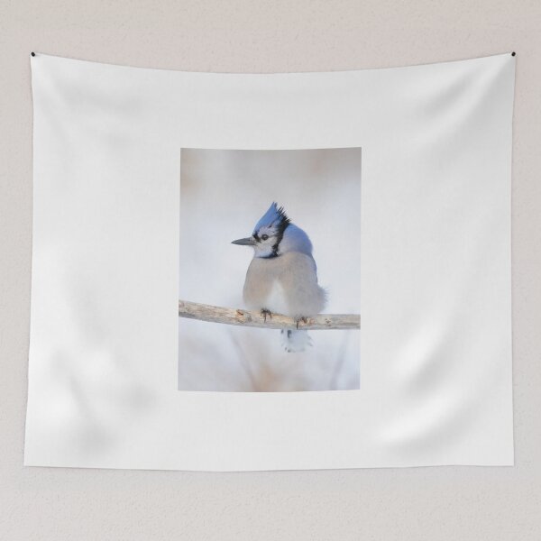 Item preview, Blue Jay - Algonquin Park designed and sold by James Cumming.