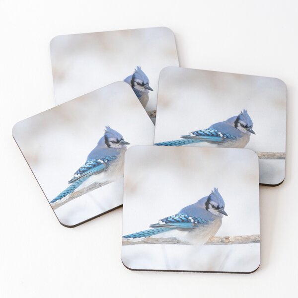 Item preview, Blue Jay - Algonquin Park designed and sold by James Cumming.