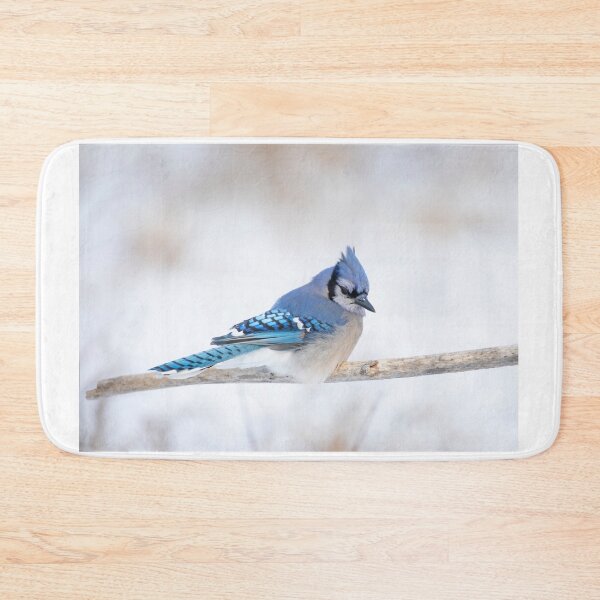 Item preview, Blue Jay - Algonquin Park designed and sold by James Cumming.