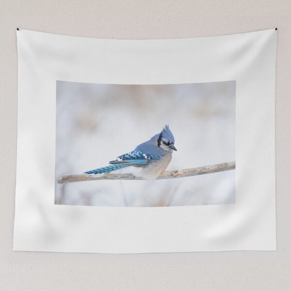 Item preview, Blue Jay - Algonquin Park designed and sold by James Cumming.