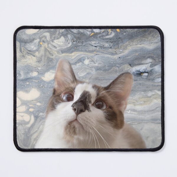 Item preview, Very Curious Snowshoe Cat One designed and sold by Elisabeth Lucas.