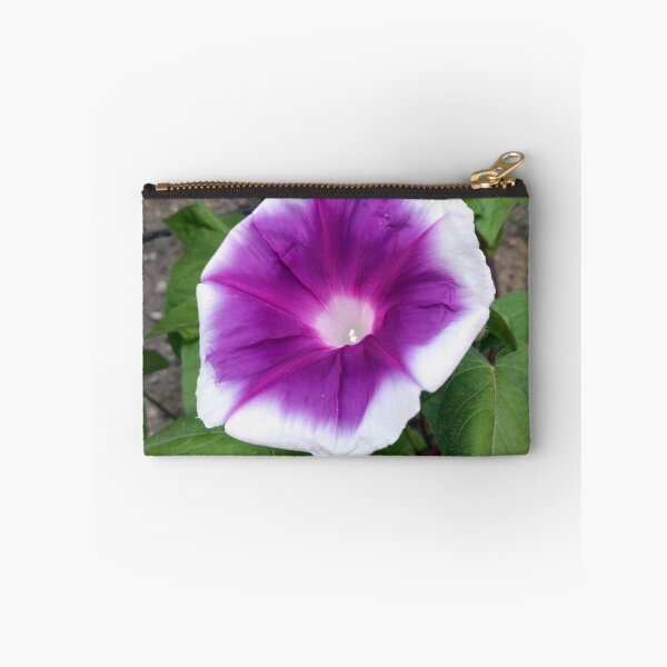 Item preview, Morning glory designed and sold by Gourmetkater.