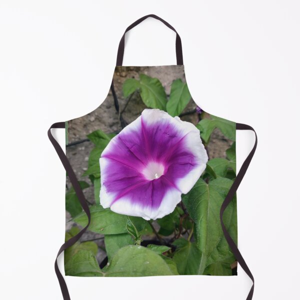 Item preview, Morning glory designed and sold by Gourmetkater.