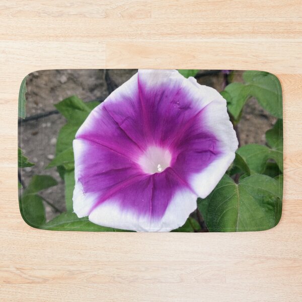 Item preview, Morning glory designed and sold by Gourmetkater.