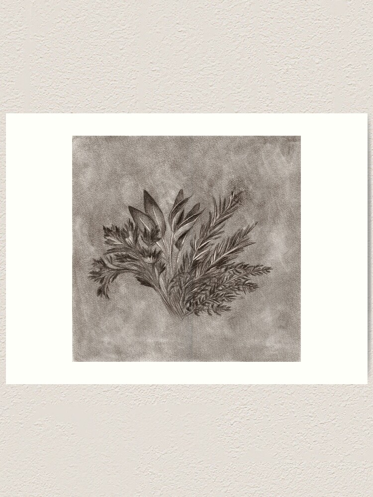 "Parsley, Sage, Rosemary and Thyme" Art Print for Sale by irenebtrix