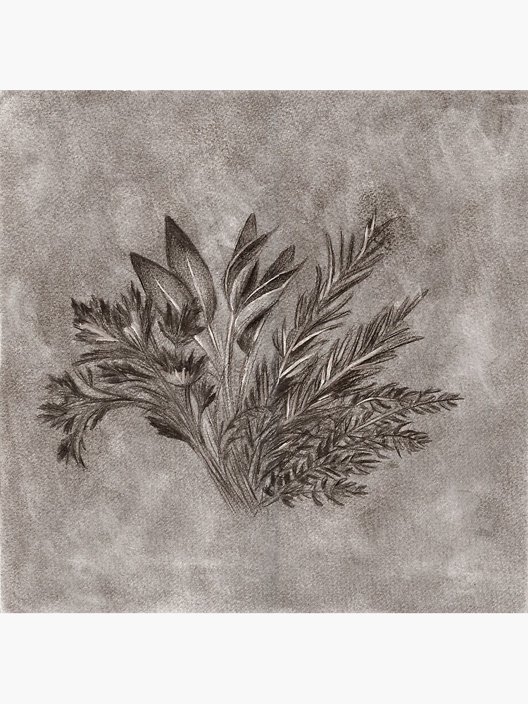 "Parsley, Sage, Rosemary and Thyme" Art Print for Sale by irenebtrix