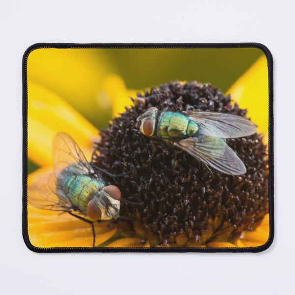 Item preview, Let's Enjoy This Black-Eyed Susan designed and sold by Bill Spengler's Photographic Thoughts.