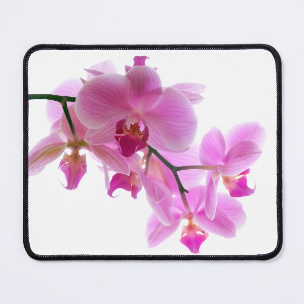 Item preview, Orchid pillow designed and sold by Kritzel-Claudi.