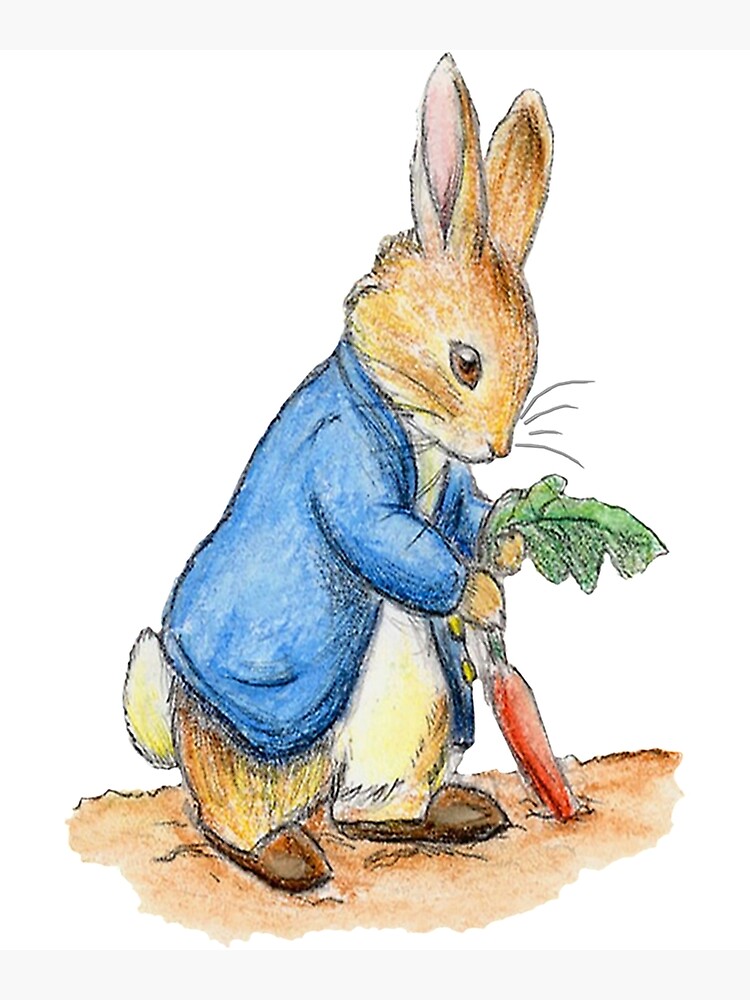 Nursery Characters, Peter Rabbit, Beatrix Potter Photographic Print for  Sale by williamstokes