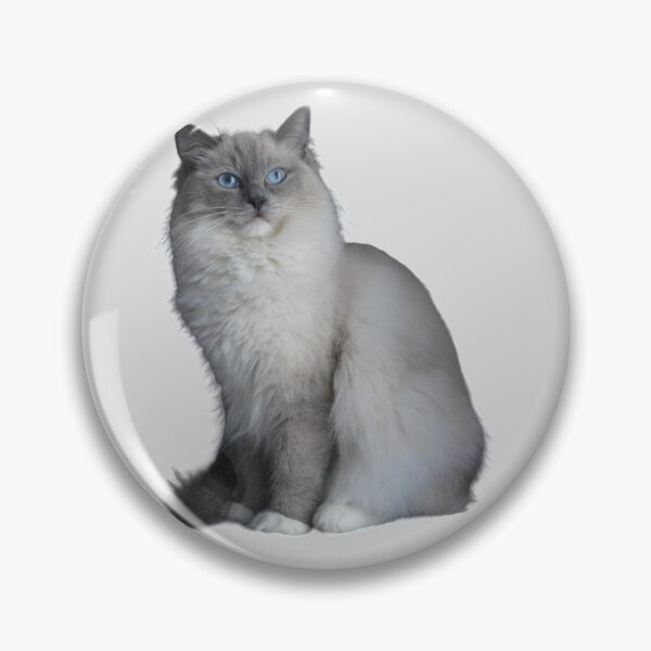 Item preview, Ragdoll cat TSHIRT designed and sold by GOLDFAMILYSHOP.