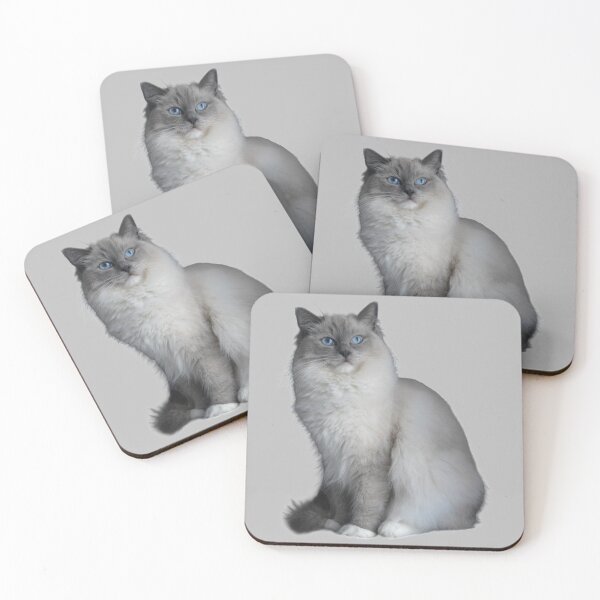 Item preview, Ragdoll cat TSHIRT designed and sold by GOLDFAMILYSHOP.