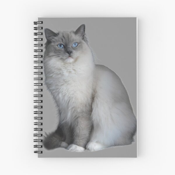 Item preview, Ragdoll cat TSHIRT designed and sold by GOLDFAMILYSHOP.