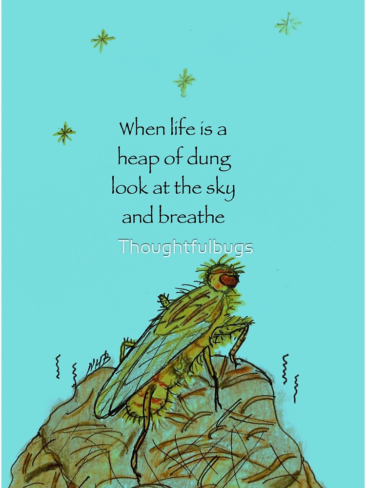 Breathe by Thoughtfulbugs