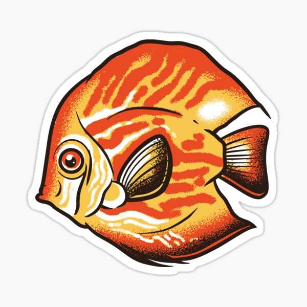Learn About Symphysodon Discus (Pompadour Fish)