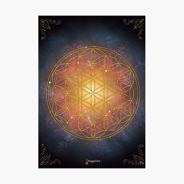 Flower of life Photographic Print