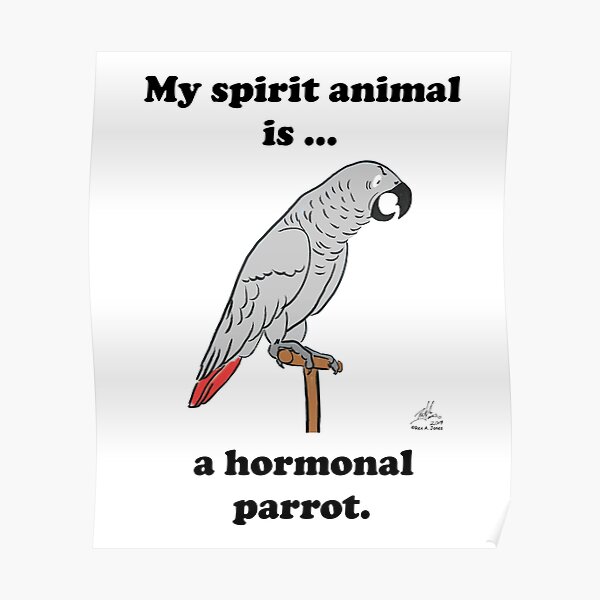 My Spirit Animal is a Hormonal Parrot African Grey Woman My Spirit Animal is a Hormonal Parrot African Grey Woman