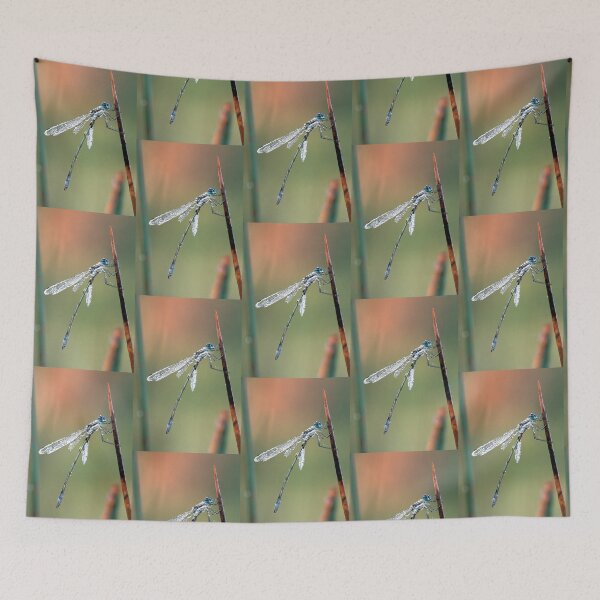 Item preview, Damselfly designed and sold by Bill Spengler's Photographic Thoughts.