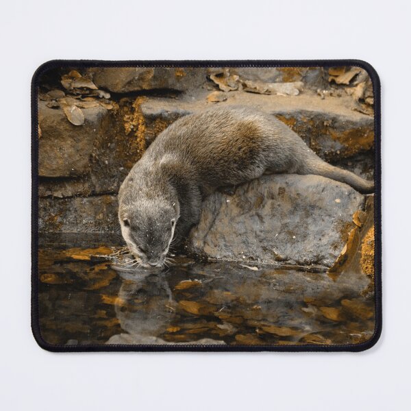 Item preview, And Just Anotter Day designed and sold by BBPGallery.