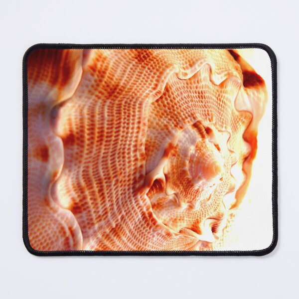 Item preview, shelly designed and sold by Tereza Pilar  Art.