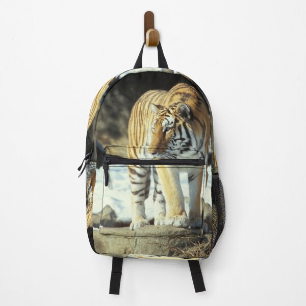 Item preview, Detroit Tiger designed and sold by Bill Spengler's Photographic Thoughts.