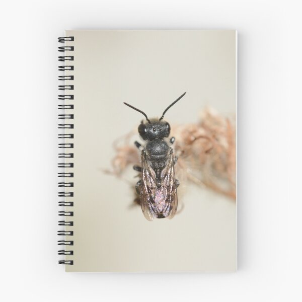 Item preview, Megachile on Brown designed and sold by AnnoraBee.