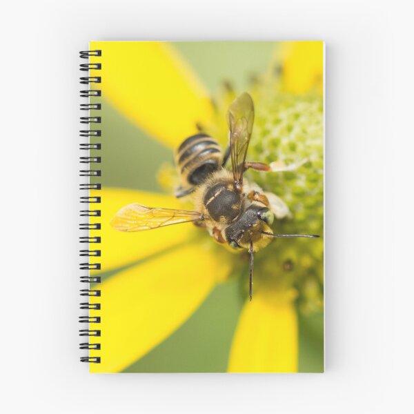 Item preview, Megachile on Yellow designed and sold by AnnoraBee.
