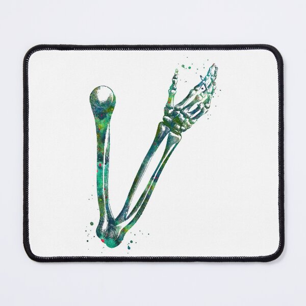 Item preview, Arm and Hand Bones Skeleton designed and sold by EvasDreams.