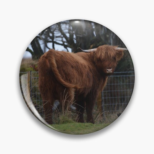 Item preview, Highland Cow on Exmoor designed and sold by ClaireChown.