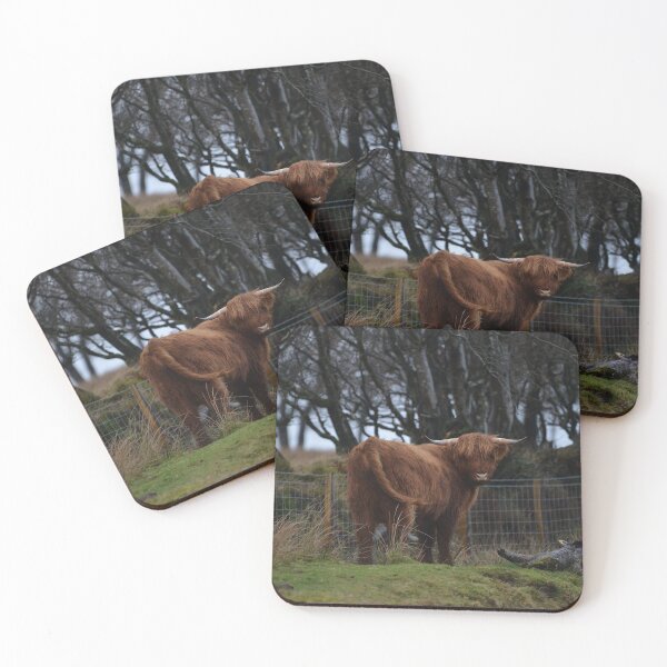 Item preview, Highland Cow on Exmoor designed and sold by ClaireChown.