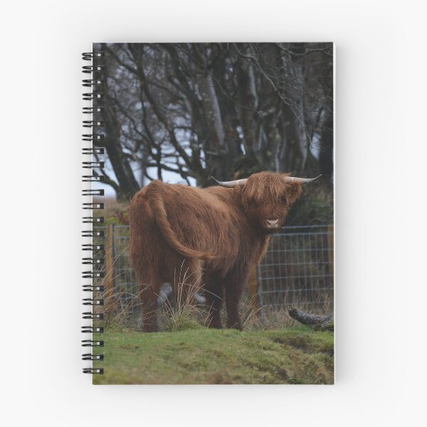 Item preview, Highland Cow on Exmoor designed and sold by ClaireChown.