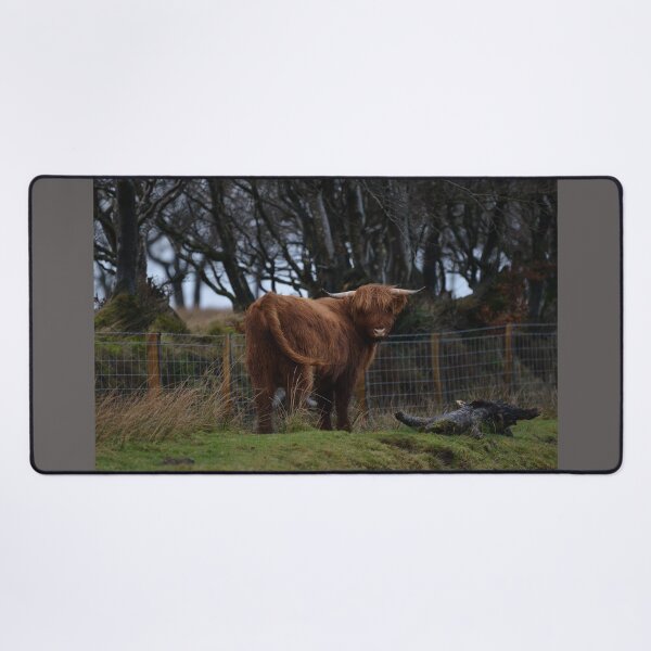 Item preview, Highland Cow on Exmoor designed and sold by ClaireChown.