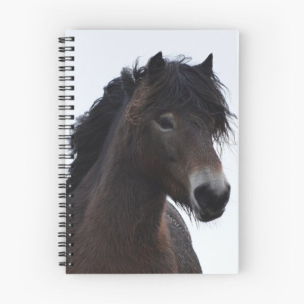 Item preview, Exmoor Pony Portrait designed and sold by ClaireChown.