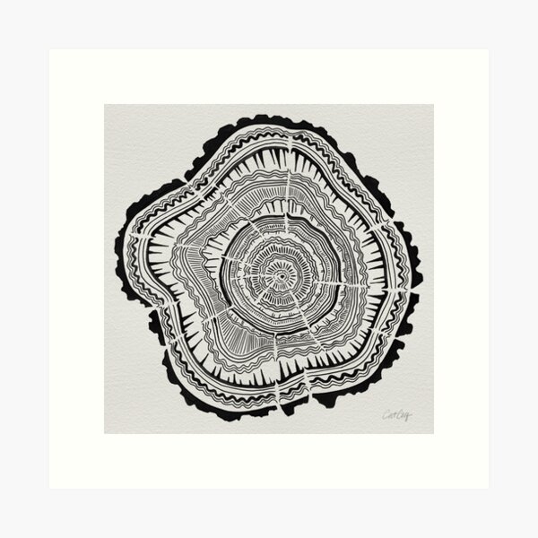 Baumringe - Schwarz auf Weiß Kunstdruck