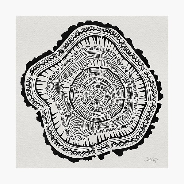 Tree Rings – Black on White Photographic Print