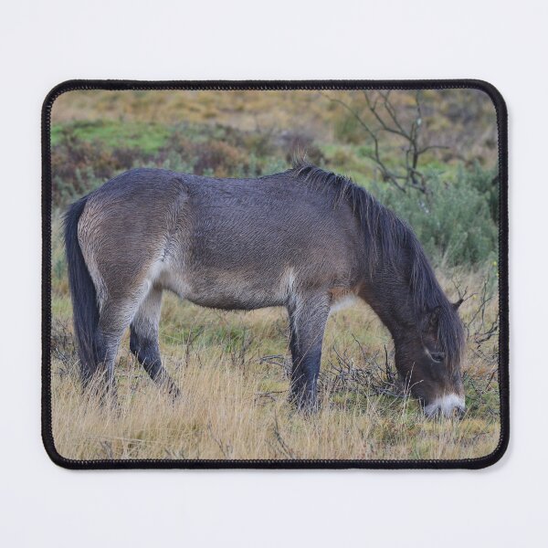 Item preview, Exmoor Pony designed and sold by ClaireChown.