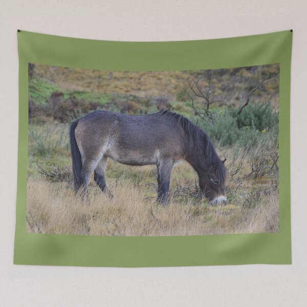 Artikelvorschau, Exmoor-Pony entworfen und verkauft von ClaireChown.