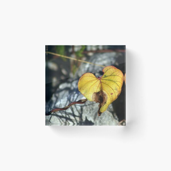 Item preview, The Small Things Often Left Unseen designed and sold by Virginia N. Fred.